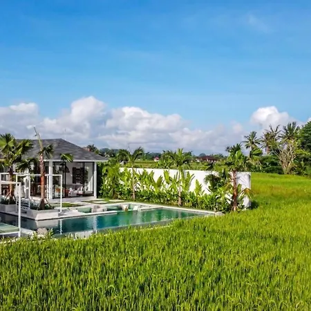 Nayanika 5 Bedroom Private Pool Villa With Ricefield View Cyn